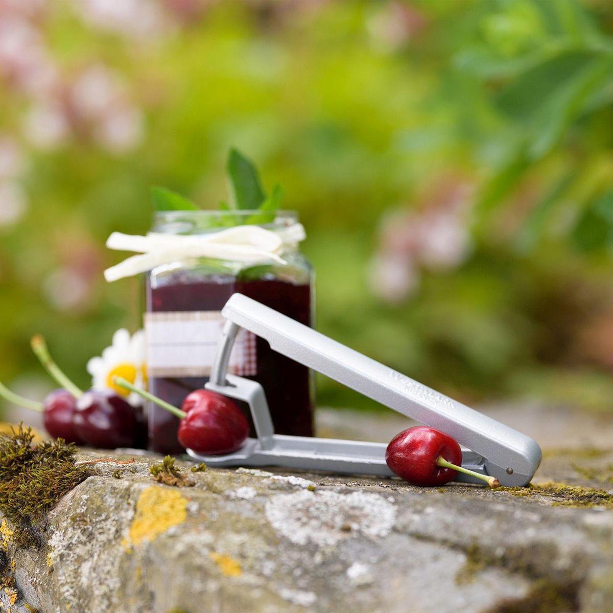 Westmark Kernex Cherry pitter 14 x 4 x 2.5 cm - Aluminum