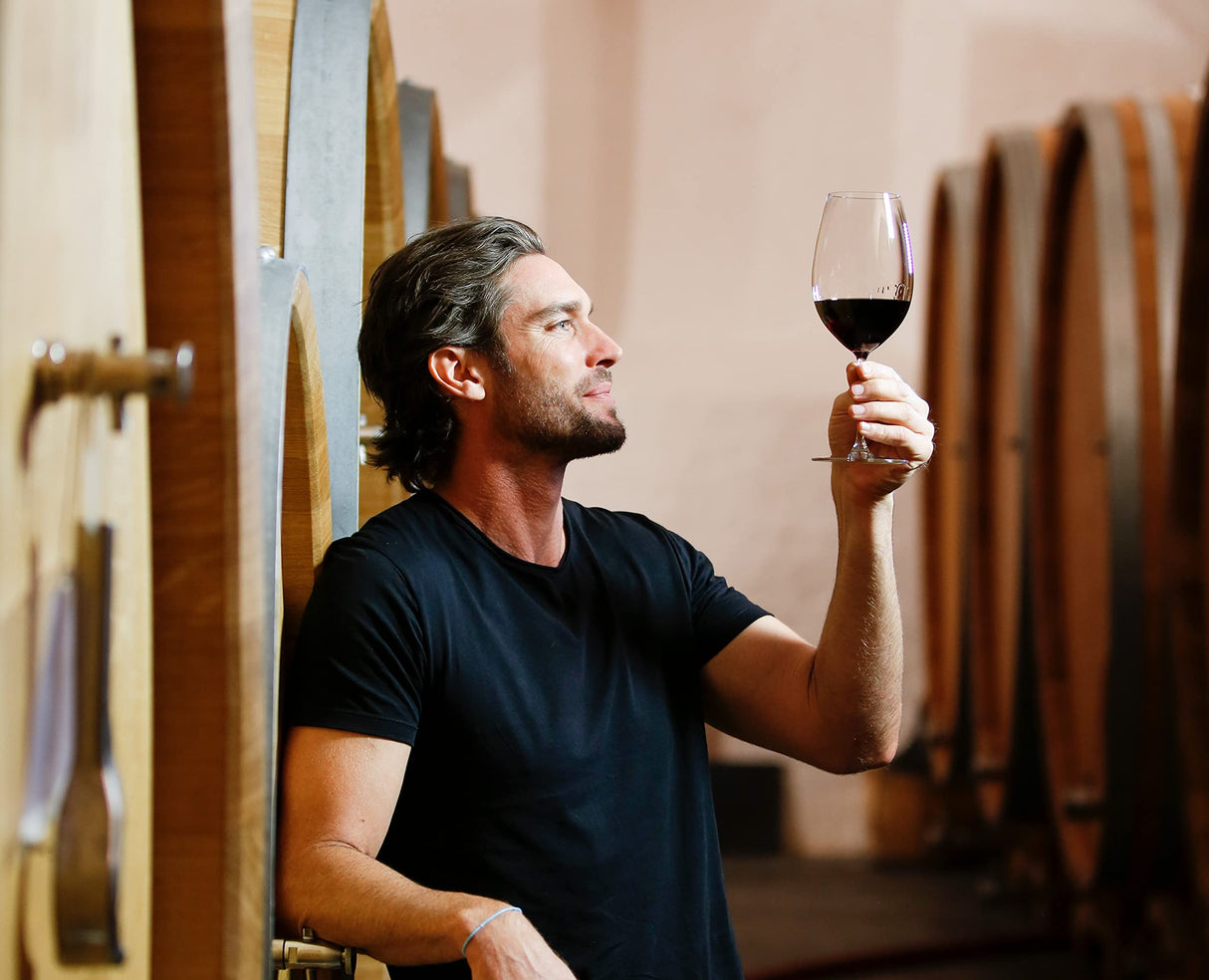 Riedel Vinum 6416/30 Syrah / Shiraz Set de 2 lunettes