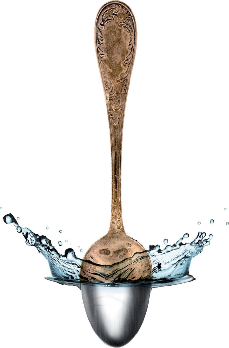 Hagerty Silberbad – Professional 580 ml