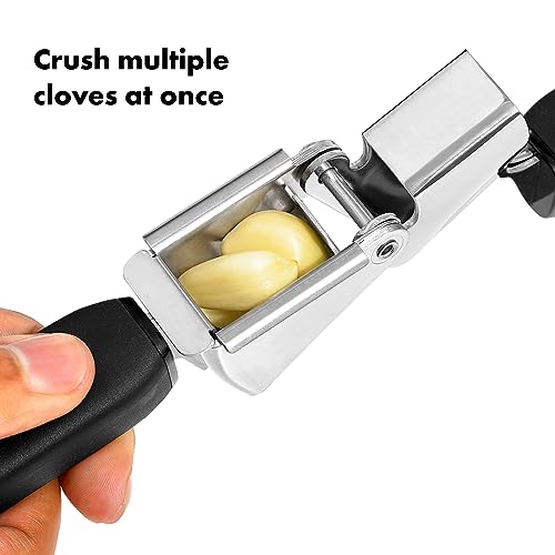 Oxo Garlic Press