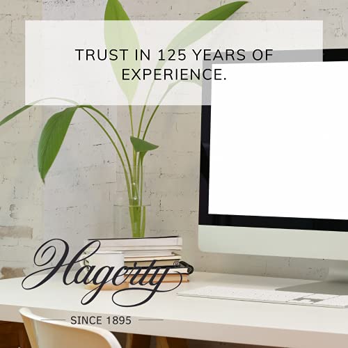 Hagerty multimediaspray