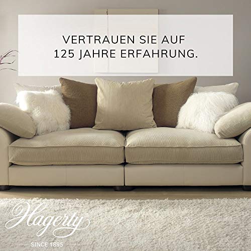 Hagerty Foam Shampoo To Clean And Maintain Rugs, Carpets And Washable Upholstery
