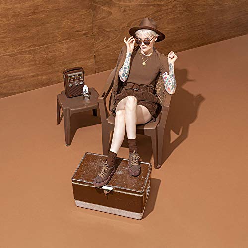 Rit Tint And Powder Dye cocoa brown 1-1/8 Oz. 31.9 Gr.