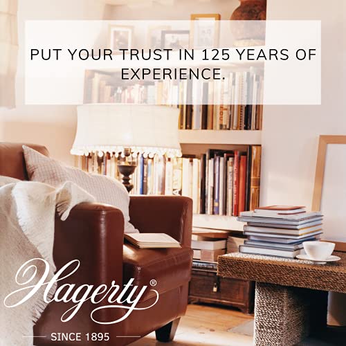 Hagerty Lederpflege 250 ml