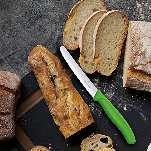 Victorinox Schälmesser mit ultrascharfer Wellenkante – Schweizer klassisches Tomaten- und Wurstmesser – Hellgrün – Klinge 11 cm