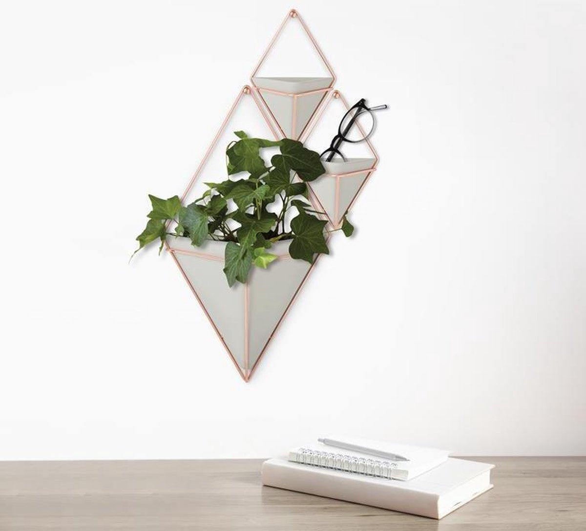 Umbra Trigg Trigg Wall Planter & Storage, grand ensemble de 2