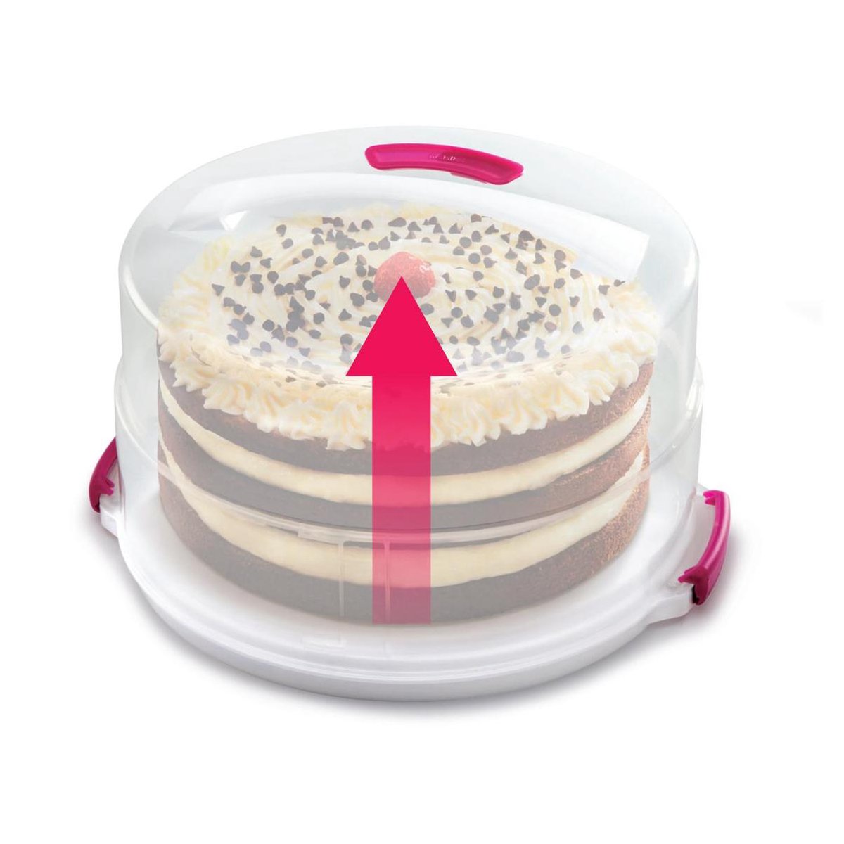 Metaltex Adjustable Cake Container, Polypropylene, Height from 8 and 15 cm