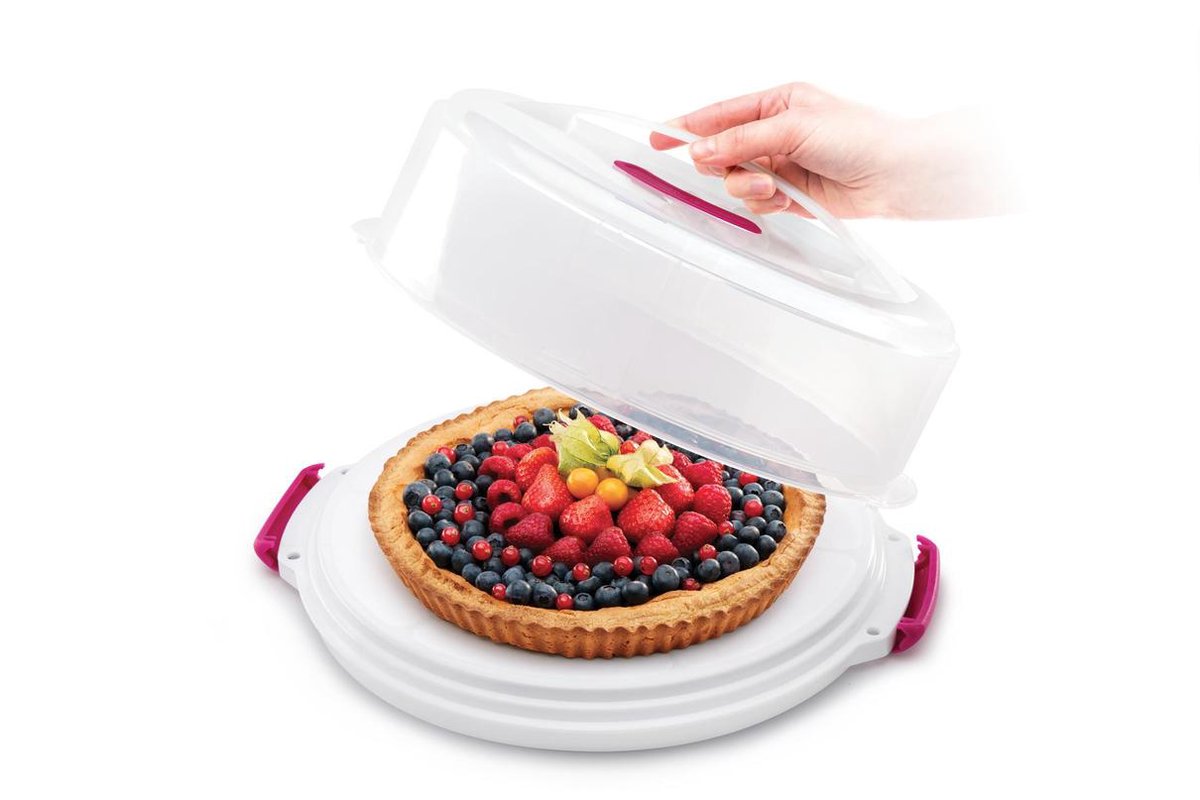 Metaltex Adjustable Cake Container, Polypropylene, Height from 8 and 15 cm