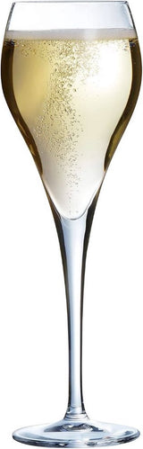 ARCOROC BRIO Champagner Glass 16 Cl - 6 -Set von 6