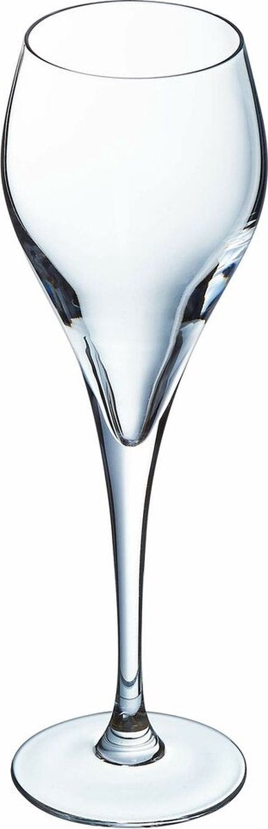 ARCOROC BRIO Champagner Glass 16 Cl - 6 -Set von 6