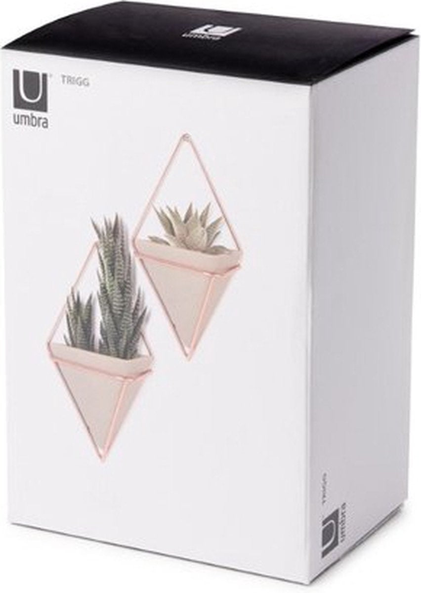 Umbra Trigg Trigg Wall Planter & Storage, grand ensemble de 2