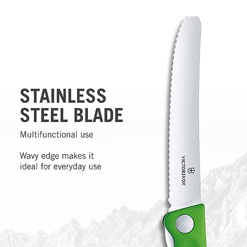 Inoxbonomi Italian Table Stainless Steel Knife 11 cm Green, Set of 6