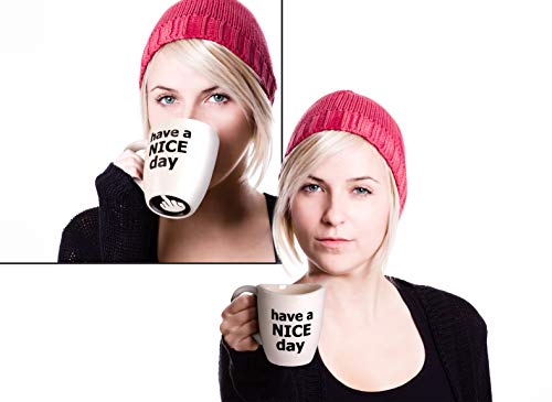 Decodyne Have a Nice Day Coffee Mug, Funny Cup with Middle Finger on the Bottom 400 ml (14 oz) white