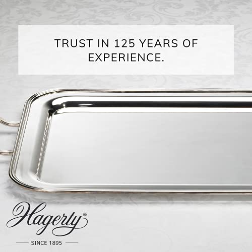 Hagerty Silver Care, 185 g