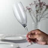 Riedel Sommeliers Wine Glass, Single, Clear